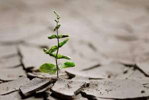 مفهوم مهارت تاب آوری در شرایط بحرانی